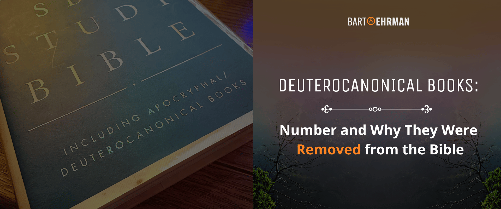 Deuterocanonical Books: Number and Why They Were Removed from the Bible