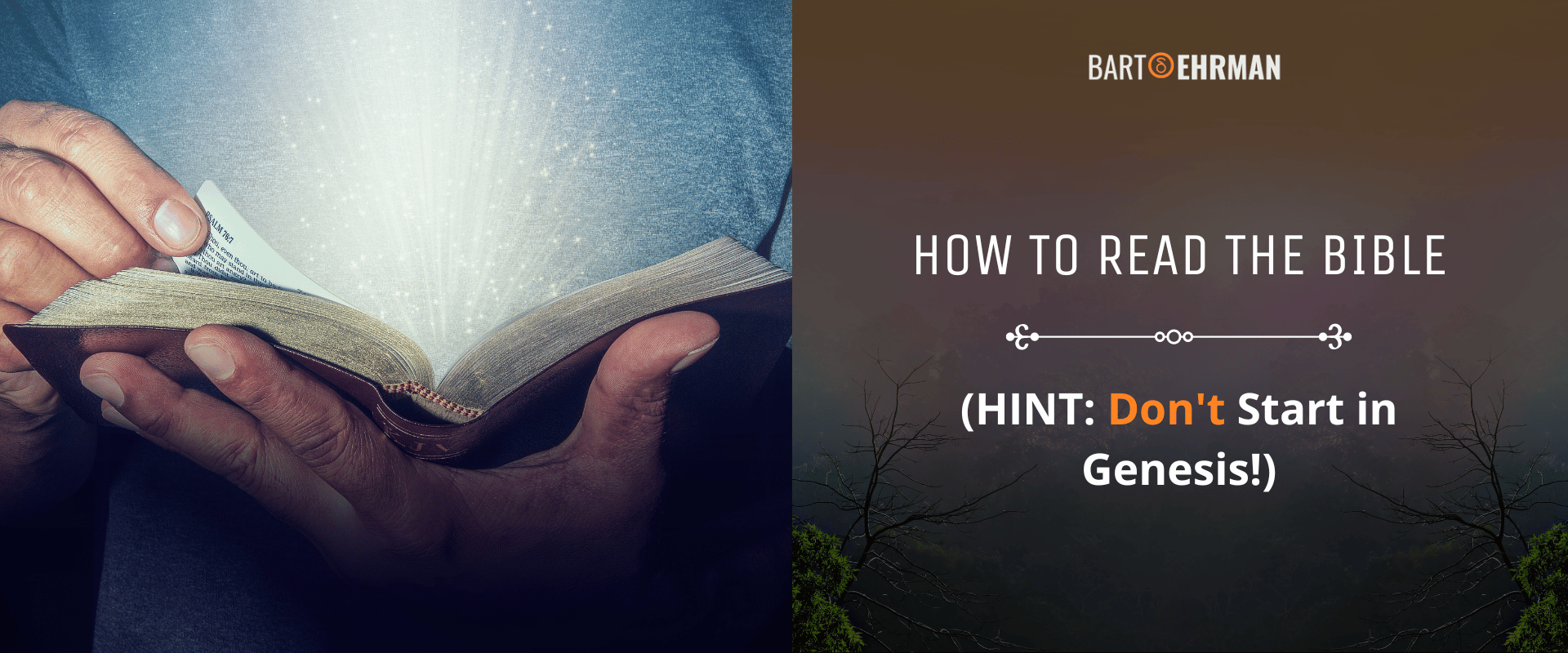 How to Read the Bible