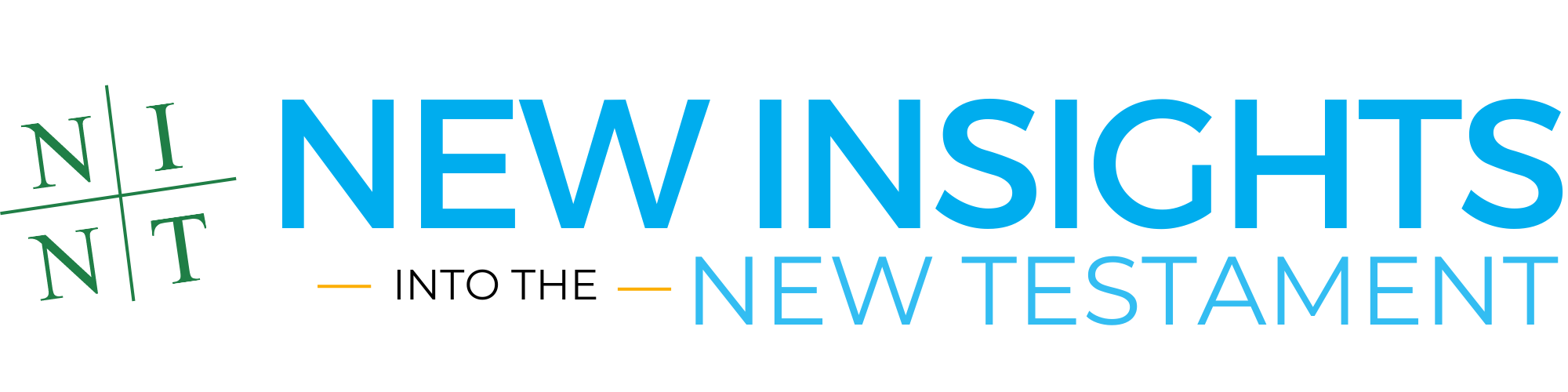 New Insights Conference Logo