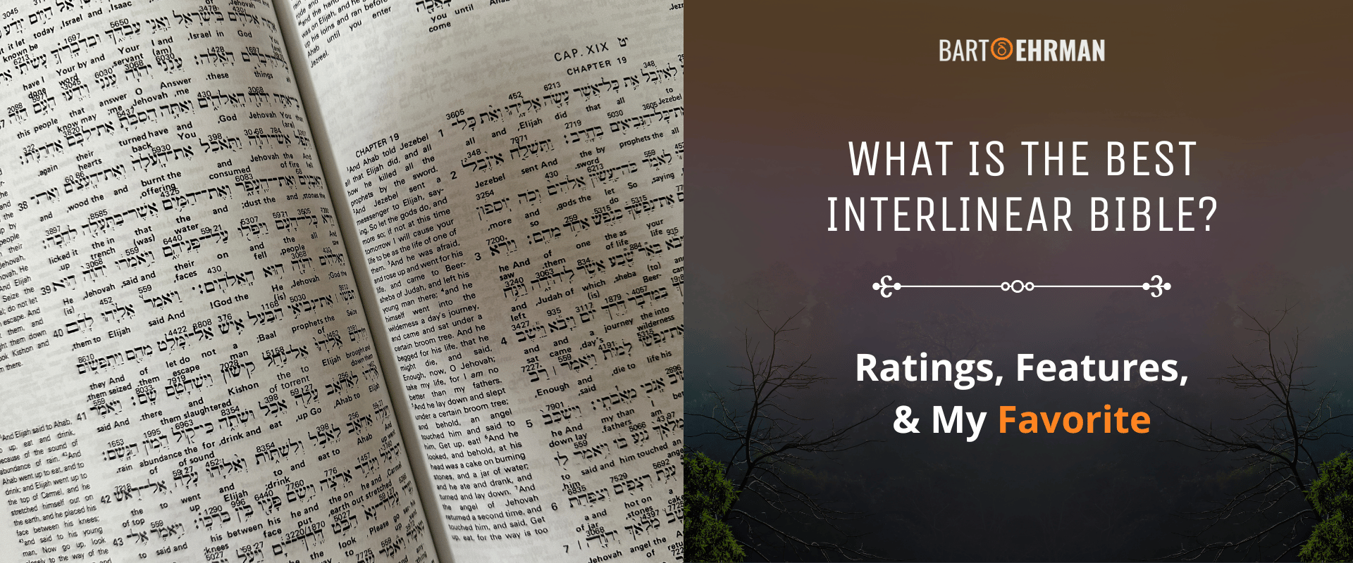 What is the Best Interlinear Bible