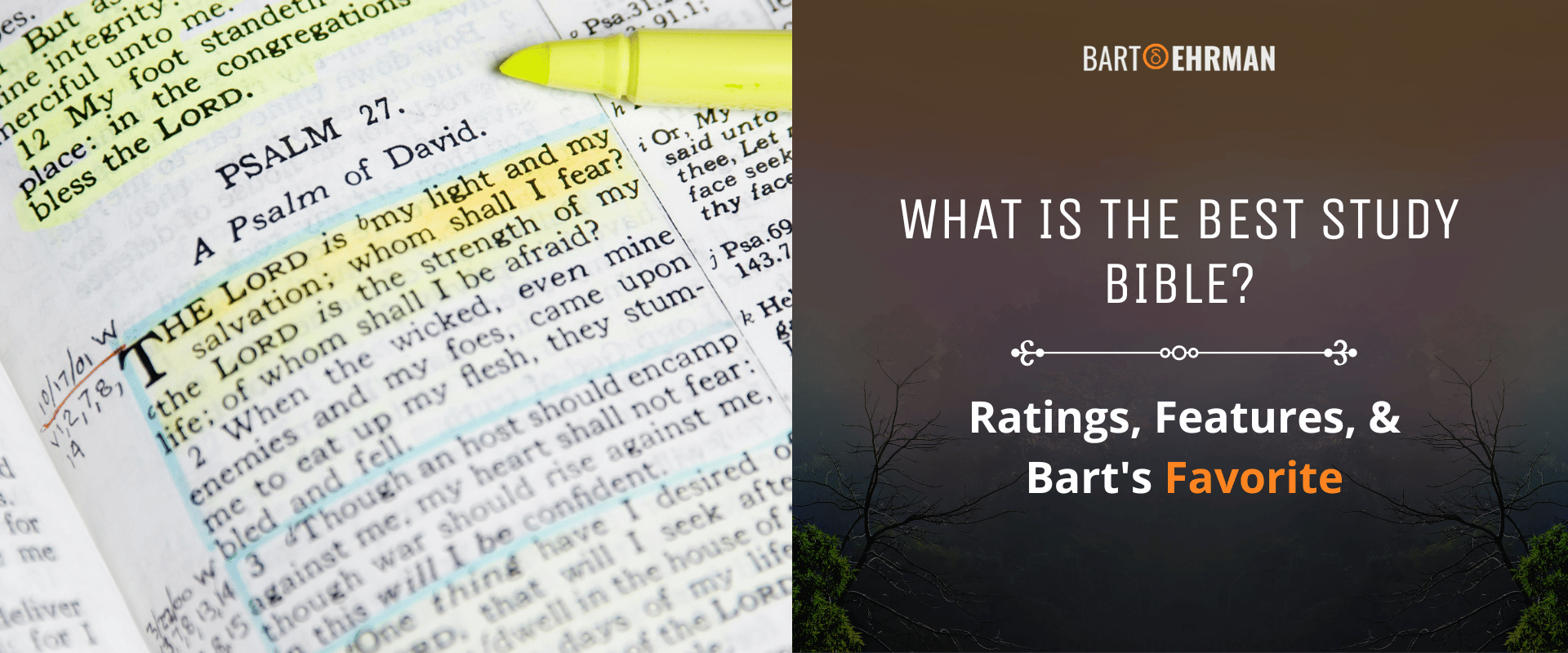 What is the Best Study Bible_ - Ratings, Features, & Bart's Favorite