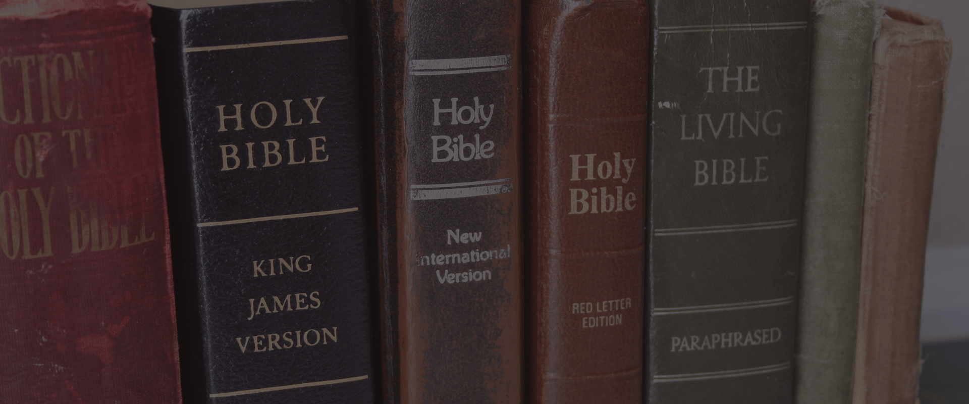 best study bible for beginners