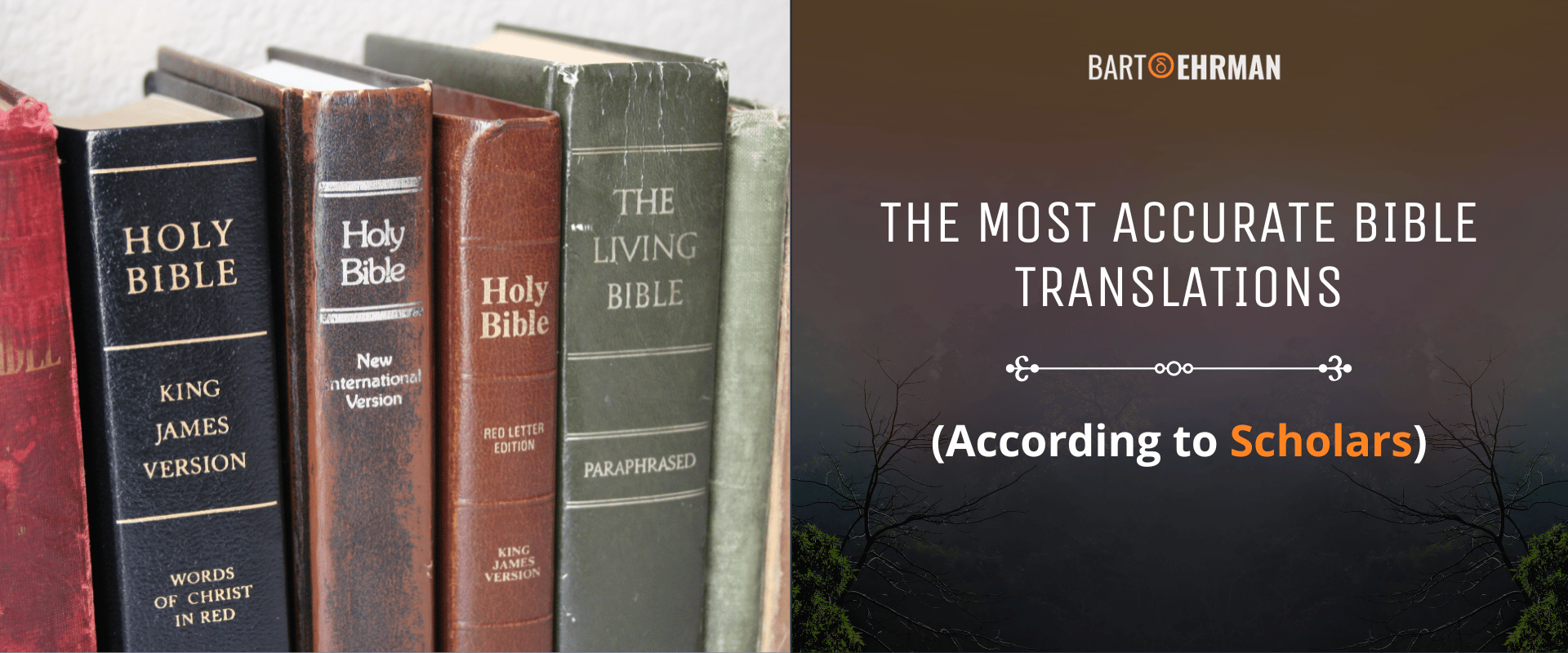 The Most Accurate Bible Translations (According to Scholars)