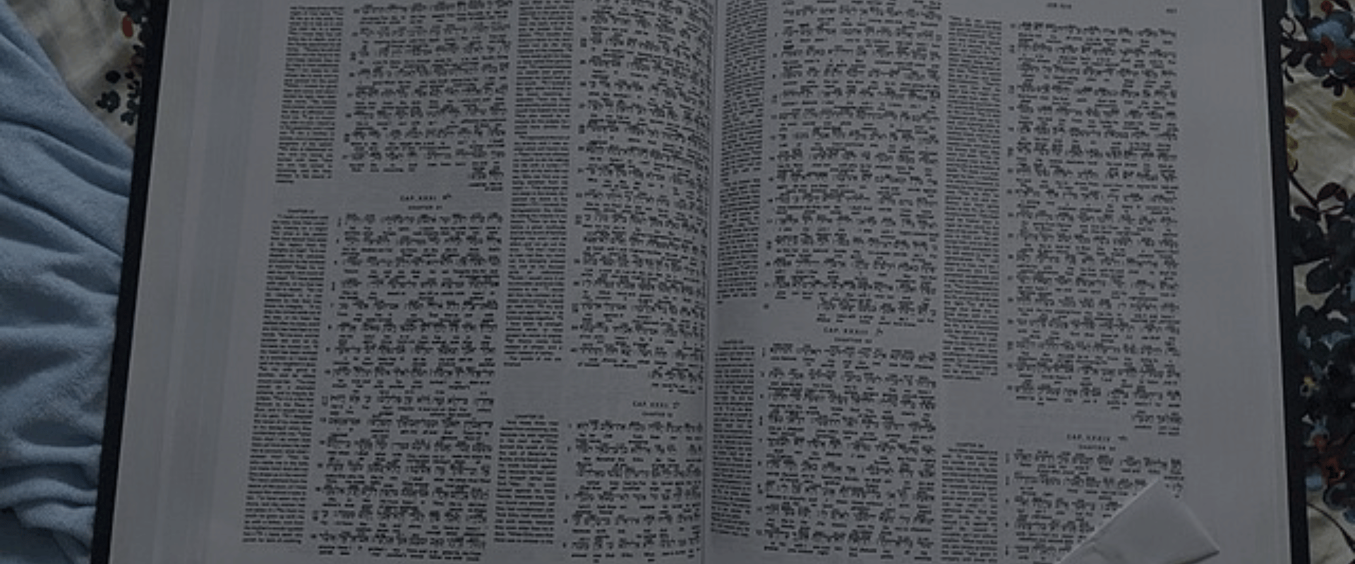 what is an interlinear Bible